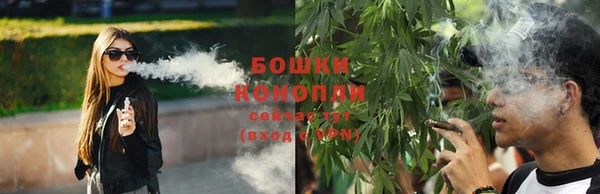винт Верея