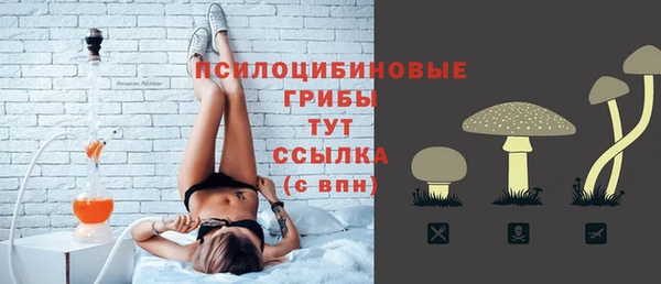 крисы Верхний Тагил