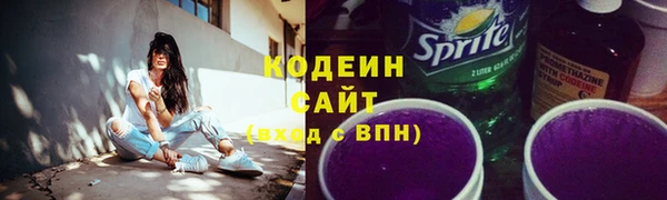 крисы Верхний Тагил