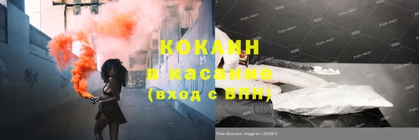 винт Верея