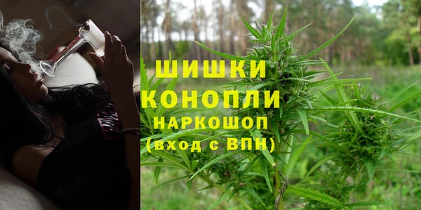 винт Верея