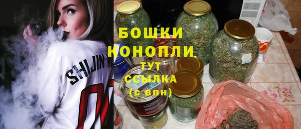 крисы Верхний Тагил