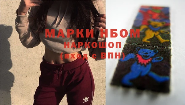 крисы Верхний Тагил