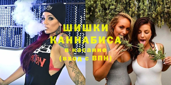 винт Верея