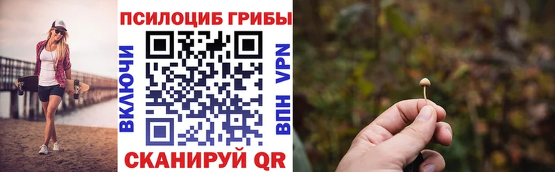 где купить   Чита  Галлюциногенные грибы мухоморы 